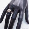 P1010504--1-