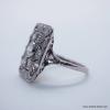 P1010538--1-